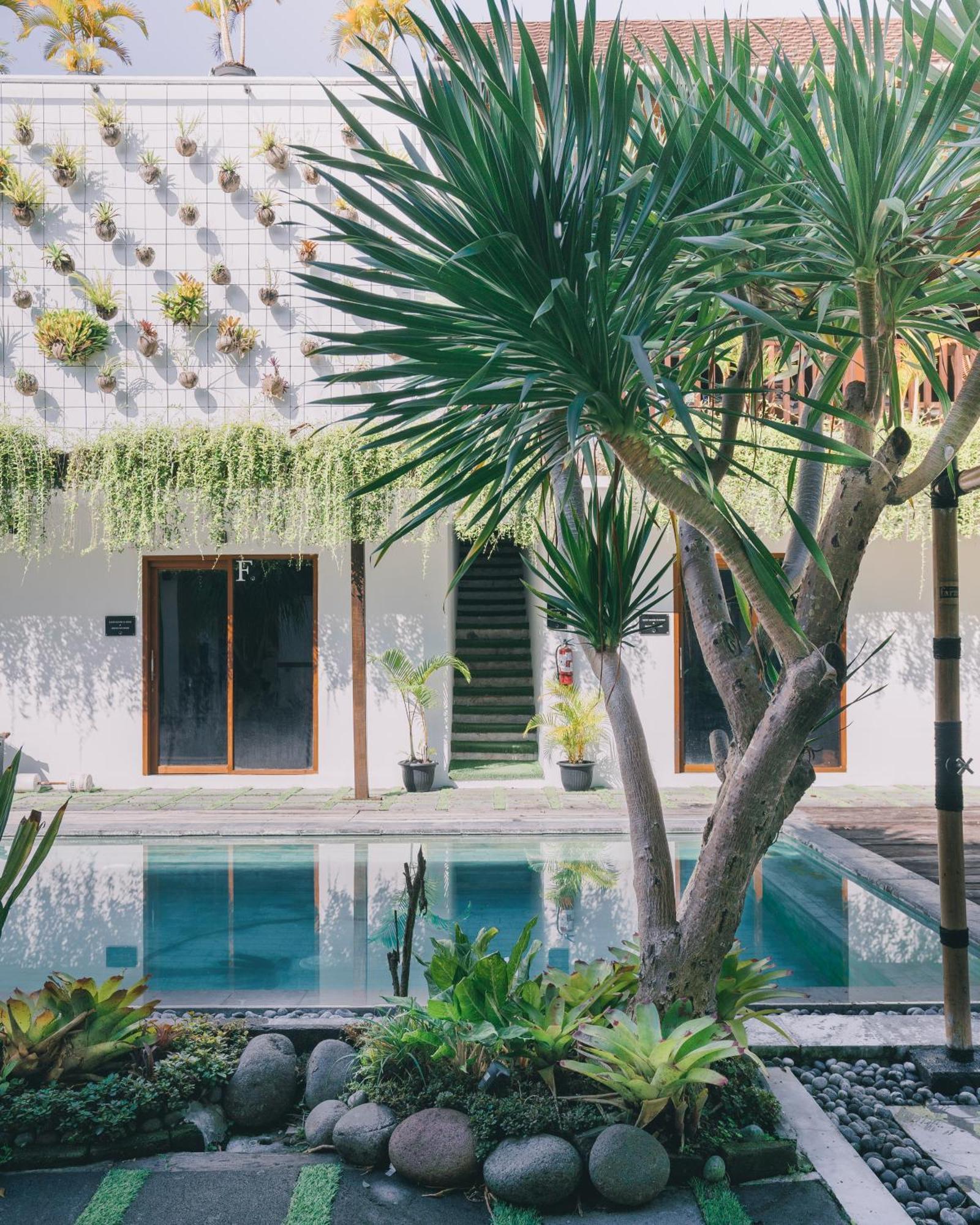 The Farm Hostel Canggu  Exterior photo